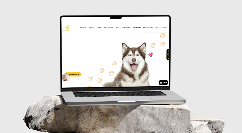 Laptop mockup displaying the new Barekmor® Pet Foods website, featuring a vibrant hero image of a healthy, happy Husky smiling. Created by My Digital Solutions – The Global Tech Hub®, part of The MDS Group Global Ltd, MediaCityUK, Salford, Greater Manchester, UK. Highlights grain-free, hypoallergenic, UK-made premium nutrition.