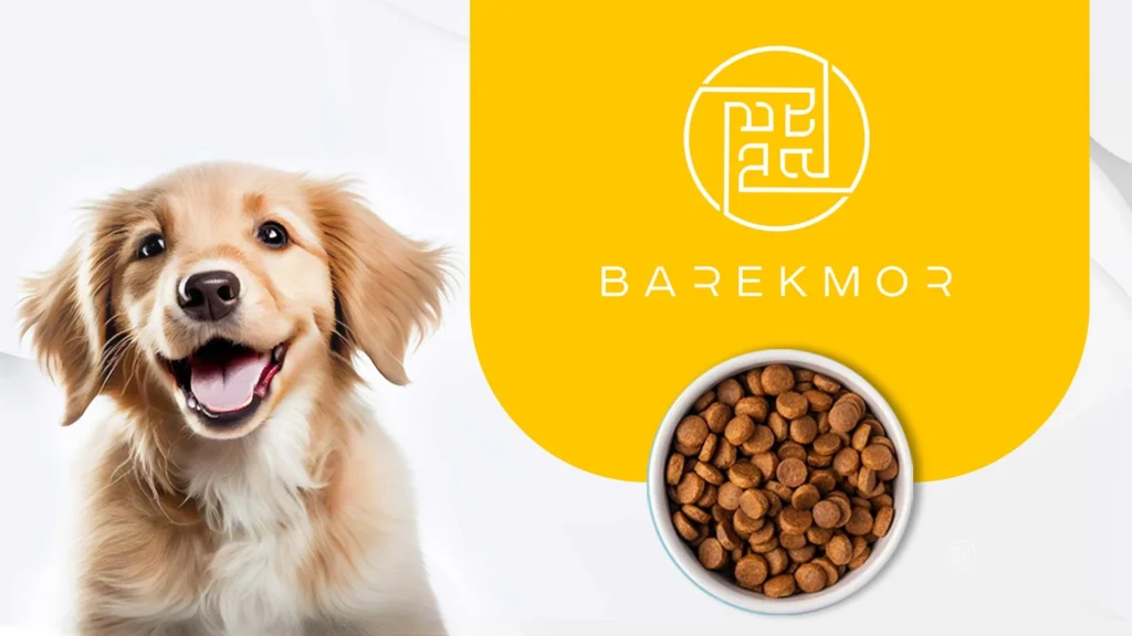 Brand banner featuring a happy, smiling Golden Retriever puppy beside a branded bowl of Barekmor® Puppy Beef Recipe, with the Barekmor® logo displayed. Created by My Digital Solutions – The Global Tech Hub®, part of The MDS Group Global Ltd, MediaCityUK, Salford, Greater Manchester, UK. Highlights high-meat, grain-free, hypoallergenic puppy nutrition designed for trust and retail impact.